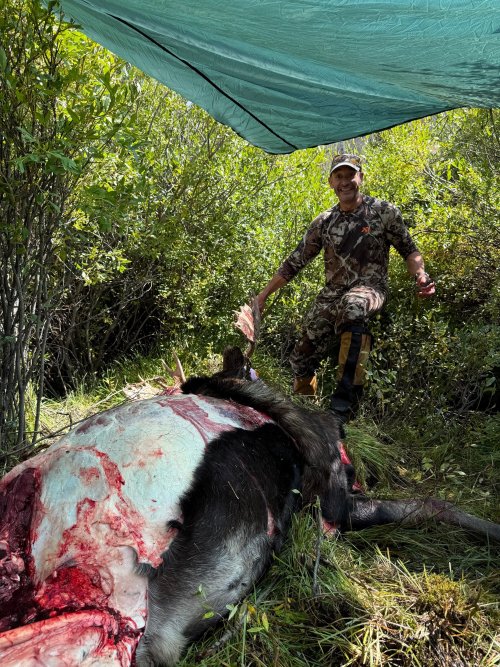 IMG_2089.jpg IMG_2089.jpg