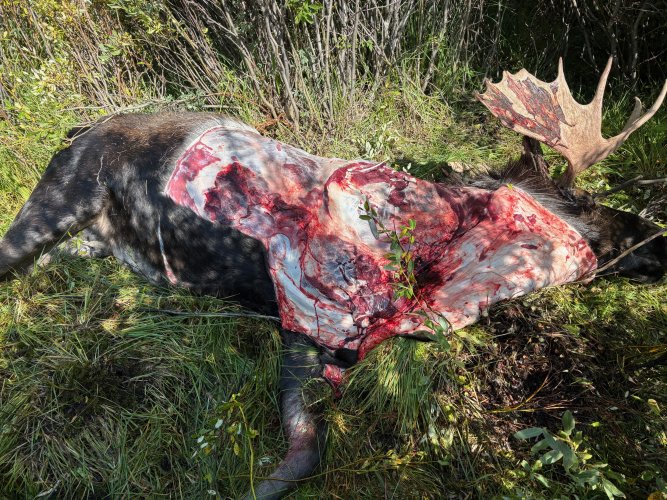 IMG_5921.jpg IMG_5921.jpg