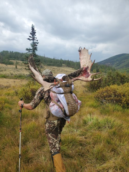 Resized_20250906_165705.JPEG Resized_20250906_165705.JPEG