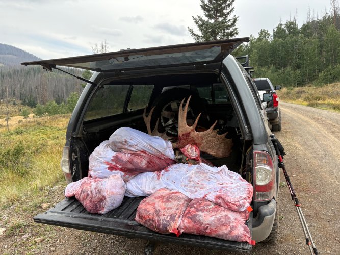 IMG_5949.jpg IMG_5949.jpg