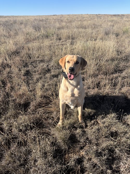 IMG_2955.jpeg IMG_2955.jpeg