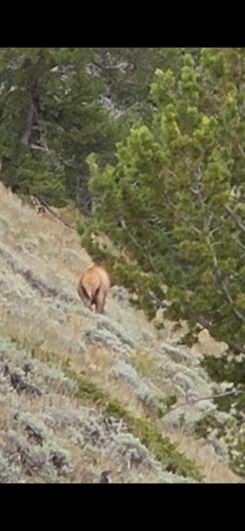 1758666905601.png 1758666905601.png