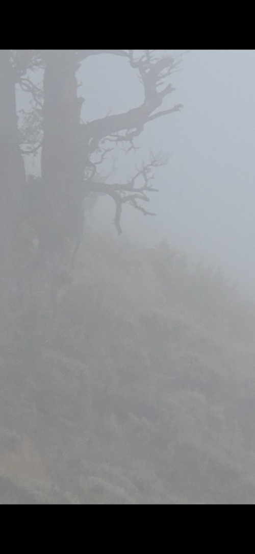 1758666905900.png 1758666905900.png