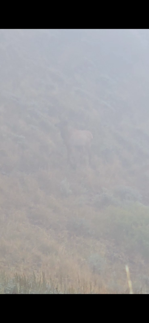 1758666905846.png 1758666905846.png