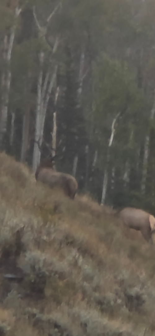 1758666905962.png 1758666905962.png