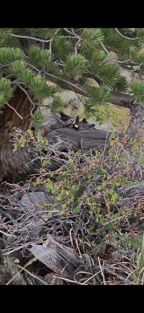 1758666905789.png 1758666905789.png