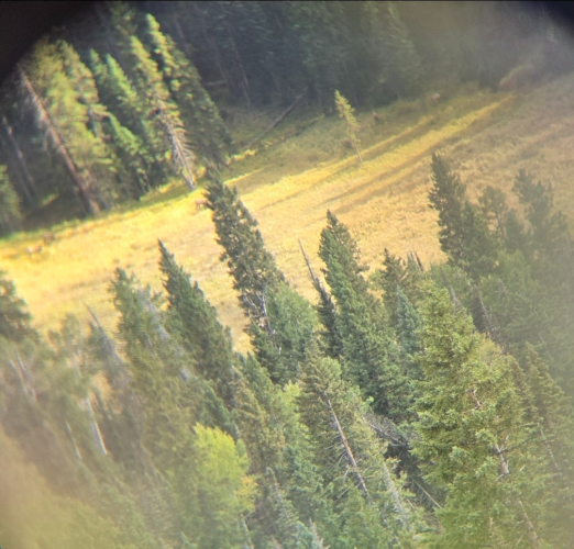 1758668409333.png 1758668409333.png