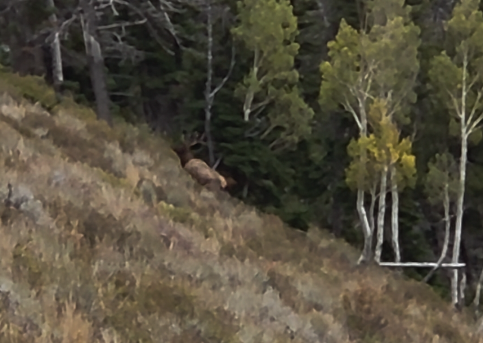 1758668409443.png 1758668409443.png