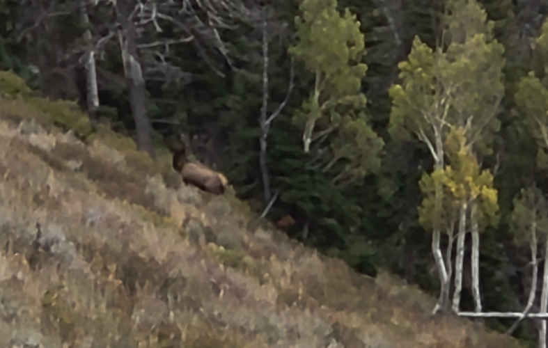 1758668409527.png 1758668409527.png