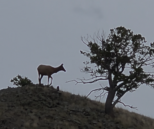 1758668409639.png 1758668409639.png