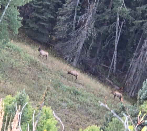 1758669109670.png 1758669109670.png