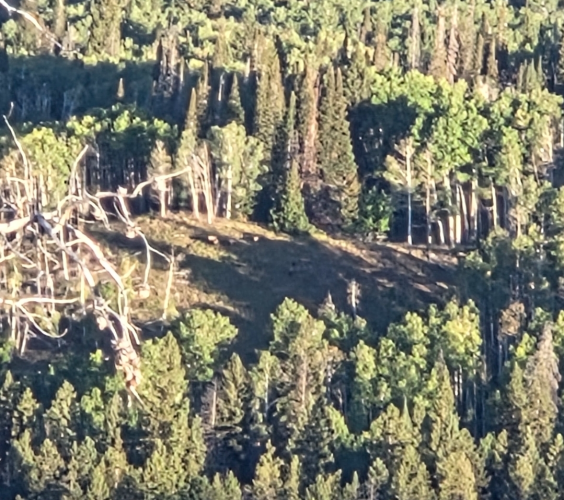 1758669109811.png 1758669109811.png