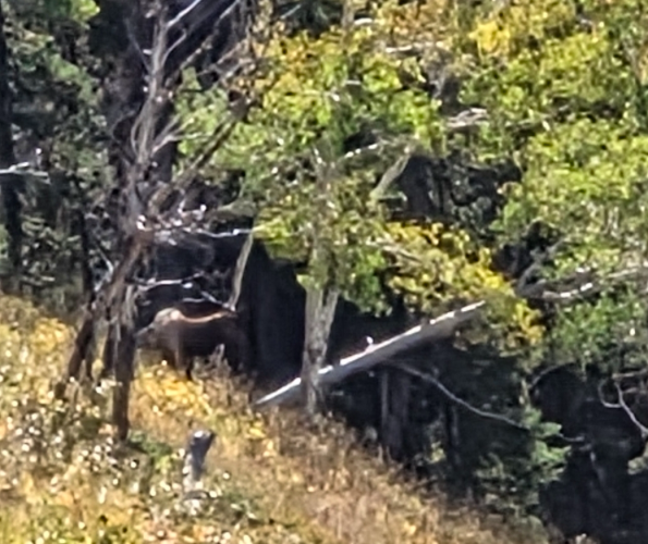 1758669109923.png 1758669109923.png