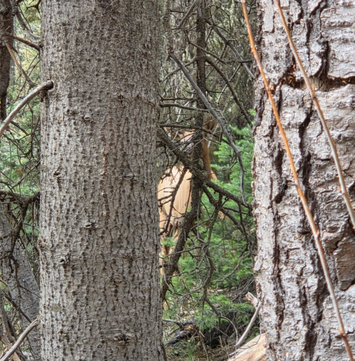 1758670966656.png 1758670966656.png