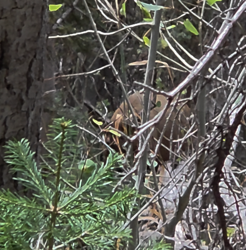 1758671010207.png 1758671010207.png