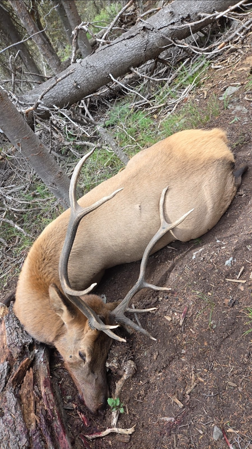 1758671090294.png 1758671090294.png