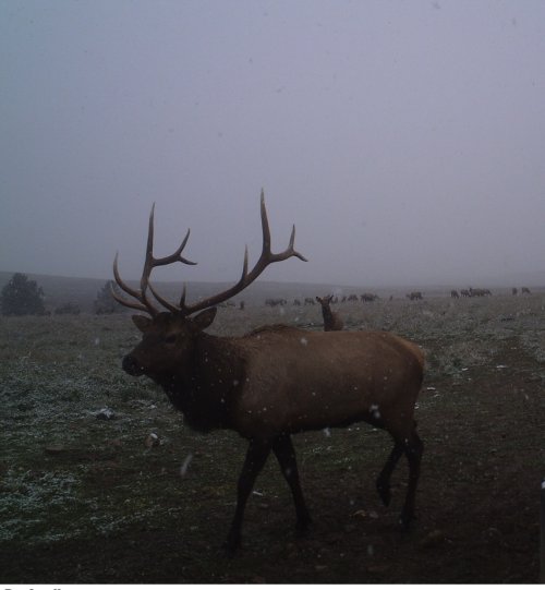 IMG_4136.jpeg