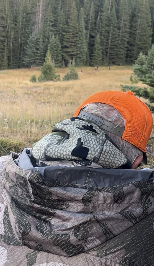 1758757476896.jpeg 1758757476896.jpeg