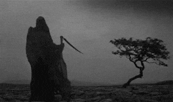tmp.gif