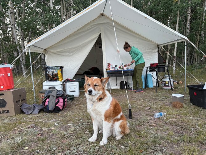 IMG_5972.jpg IMG_5972.jpg