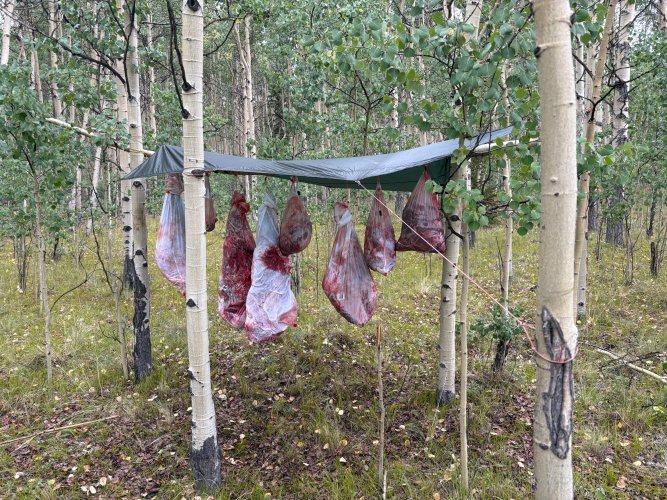 IMG_5957.jpg IMG_5957.jpg