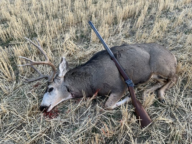 IMG_7003.jpeg IMG_7003.jpeg