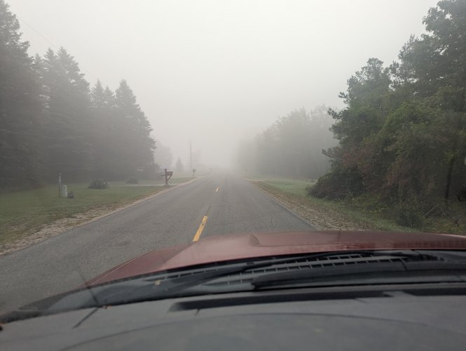 PXL_20250927_131909656.jpg PXL_20250927_131909656.jpg