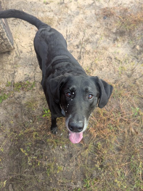 PXL_20250927_134326015.MP.jpg PXL_20250927_134326015.MP.jpg