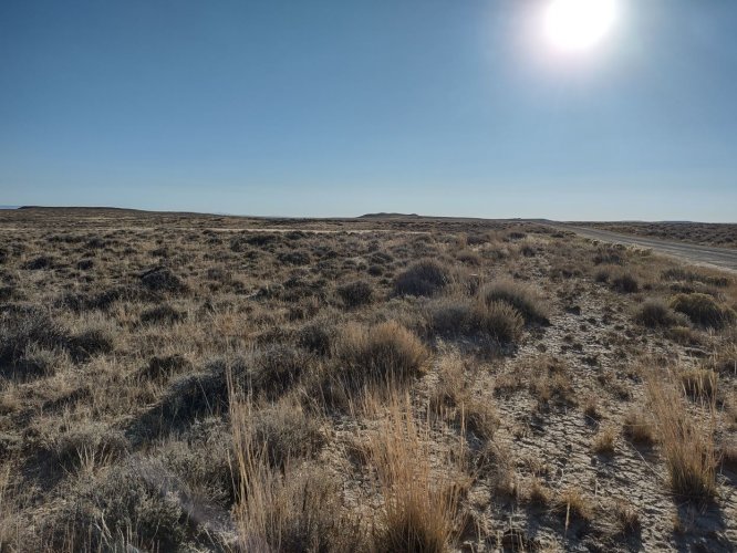 2025_1_elk_desert.JPG