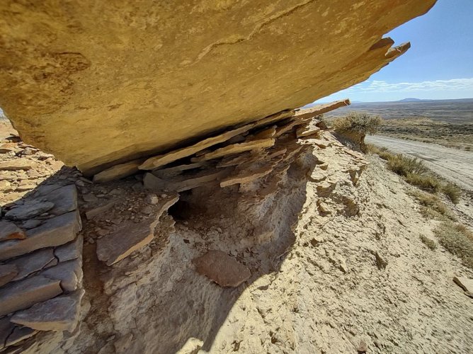2025_2_elk_desert.JPG
