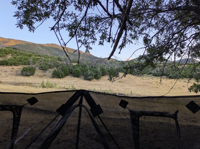 2025_11_Archery_opener.JPG