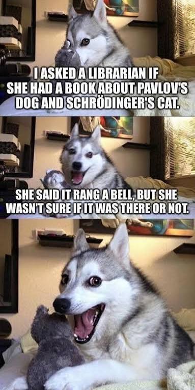 images-40.jpeg