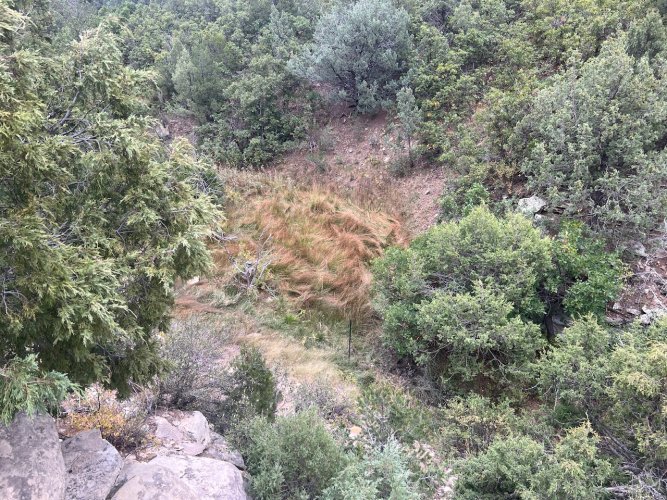 IMG_2980.jpeg IMG_2980.jpeg