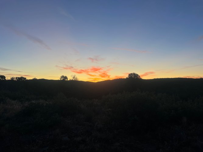 IMG_2969.jpeg IMG_2969.jpeg