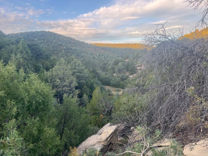 IMG_2985.jpeg IMG_2985.jpeg