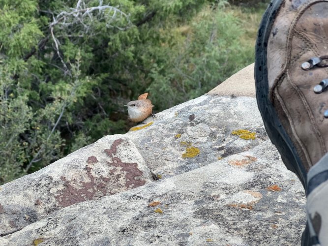 IMG_2981.jpeg IMG_2981.jpeg