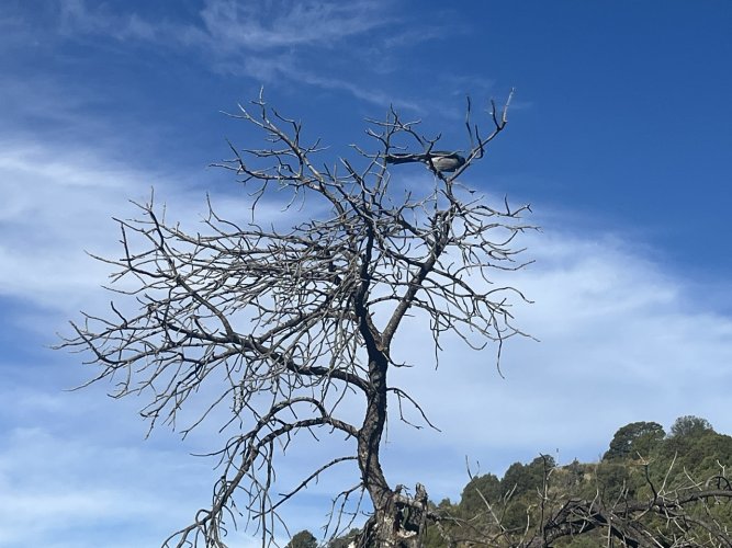 IMG_2986.jpeg IMG_2986.jpeg