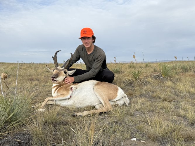 IMG_0438.jpeg IMG_0438.jpeg