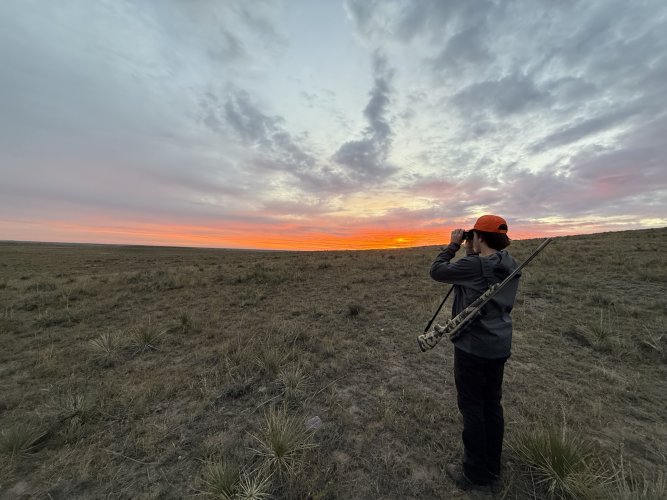 IMG_0413.jpeg IMG_0413.jpeg