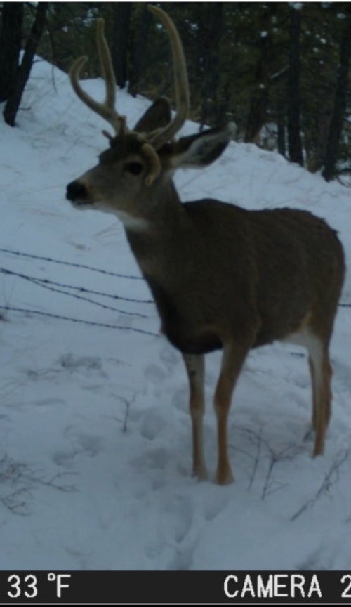 IMG_0771.jpeg