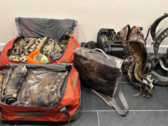 IMG_9333.jpg IMG_9333.jpg