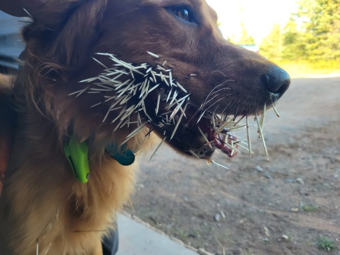 20251001_171205.jpg