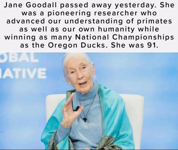 1759417370210.png