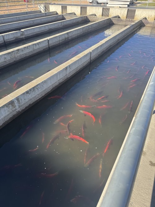 IMG_7644.jpeg IMG_7644.jpeg