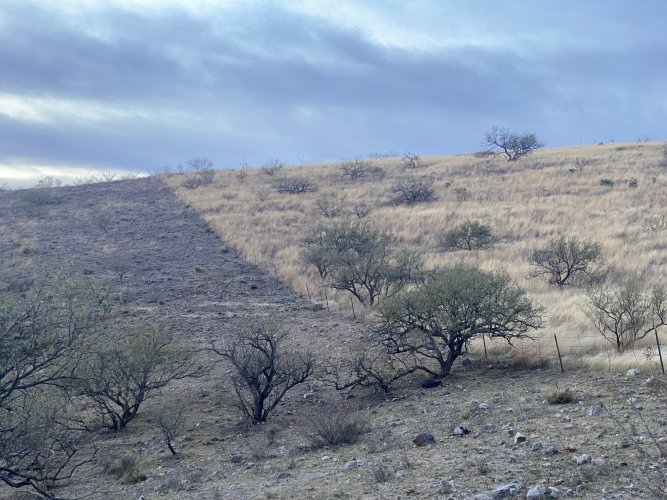 IMG_1555.jpeg IMG_1555.jpeg