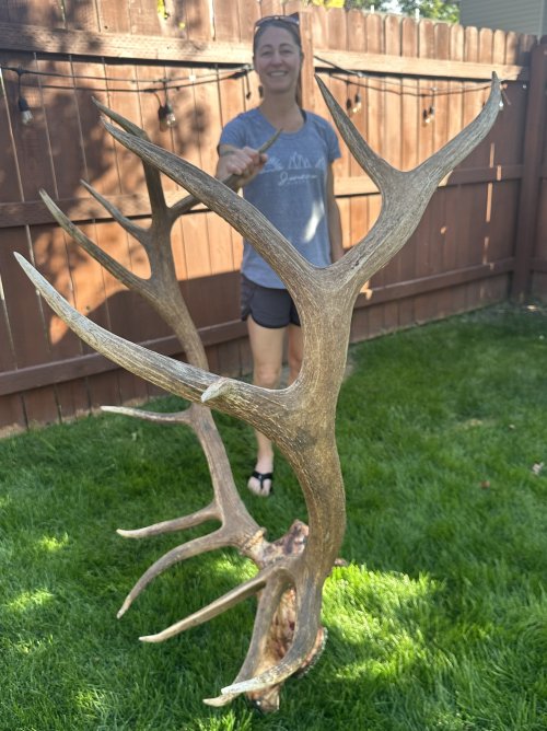 IMG_2827.jpeg IMG_2827.jpeg