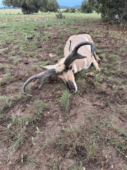 IMG_5527.jpeg IMG_5527.jpeg