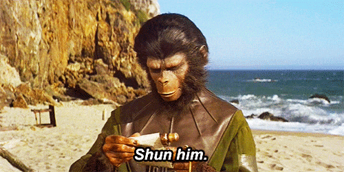 tmp.gif