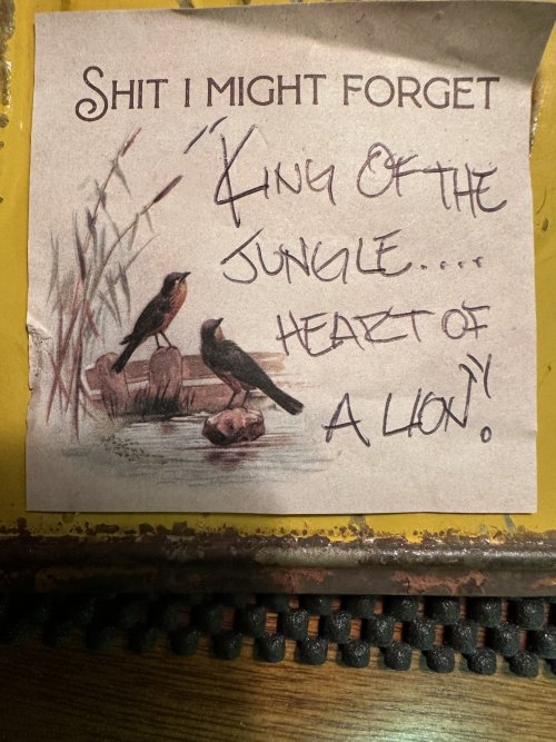 IMG_2837.jpeg IMG_2837.jpeg