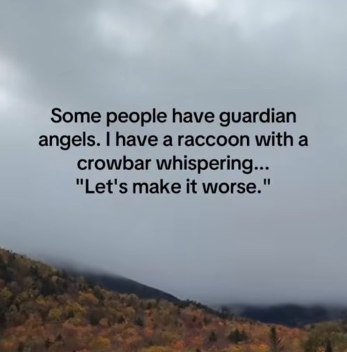 1000019095.jpg